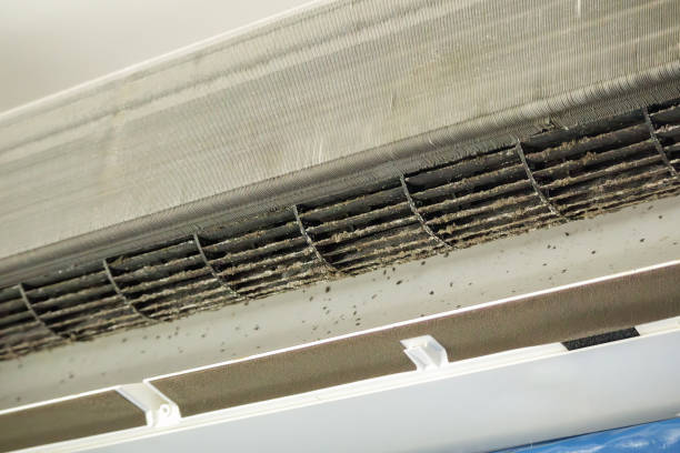 Best Residential Air Duct Cleaning  in One Loudoun, VA